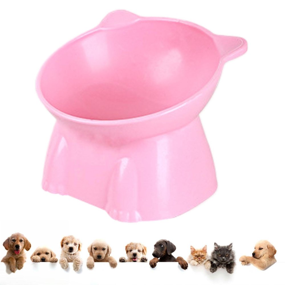 Elevated Cat Bowl