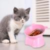 Elevated Cat Bowl view 4