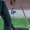 Printed Dog Waste Bag Dispenser and Bags view 2