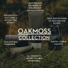 Scottish Fine Soaps Oakmoss Liquid Soap, 300 ml view 2