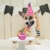 Birthday Dog Toy view 2