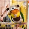 Cosplay Costume for Birds - Fun Parrot Outfit view 4