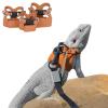 Bearded Dragon Harness - 3X Harnesses for Small Pets view 4