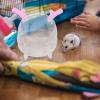 Happyyami Chinchilla Dust Bath House view 4