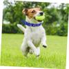 Toddmomy Adjustable Pet Collar view 4