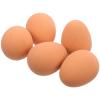 Happyyami 5-Piece Squeaky Rubber Egg Toy Set for Dogs view 1