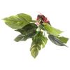 Happyyami Artificial Aquarium Plants view 1