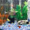 Iouyjiu Betta Fish Leaves - Soft Silicone Hammock view 3
