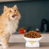 COLLBATH Elevated Ceramic Cat Bowl for Food and Water view 2