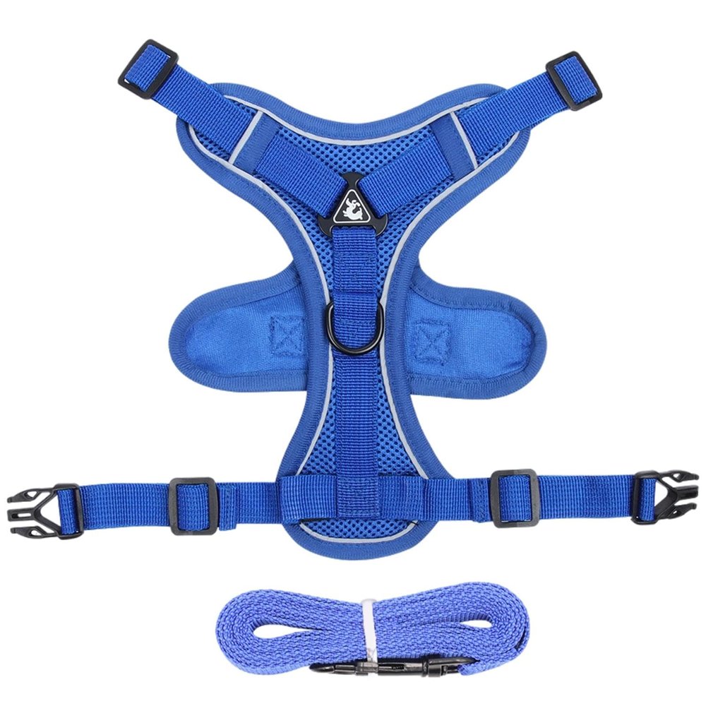 Cat Harness and Leash, Escape-Proof Design