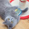 Pruojhw Cartoon Chew Toys for Cats view 2