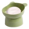 Tilted Elevated Cat Bowl view 1