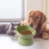 Tilted Elevated Cat Bowl view 3