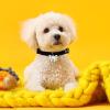 Dog Collar with Soft Bow Tie view 2