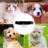 Dog Collar with Soft Bow Tie view 4