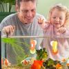 Qkbuza Vegetable Feeding Clip, Algae Clip for Saltwater Fish, Suction-Cup Food Holder view 3