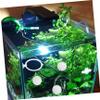Parliky Betta Fish Training Ring with Suction Cup, ABS Aquarium Toy and Biological Filter Balls view 4