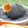 Dried Sunflower Head for Chickens and Quails view 3