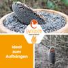 Dried Sunflower Head for Chickens and Quails view 4