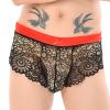 Caxndycing Men's Lace Pouch Brief view 1