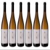 6 x 0.75 L - 2025 - Bodegas Ribas - Ribas Blanc view 1