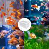 Fish Breeding Box Hutch Aquarium Fry Net Reproduction Box view 4