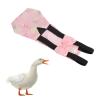 Duck Diapers with Chicken (S) view 4