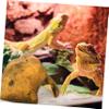 Toddmomy Resin Reptile Hide Cave view 3