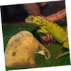 Toddmomy Resin Reptile Hide Cave view 4