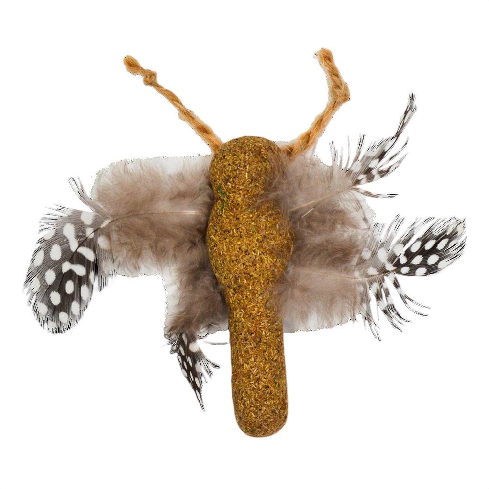 Jack and Vanilla Interactive Cat Toy - Dragonfly