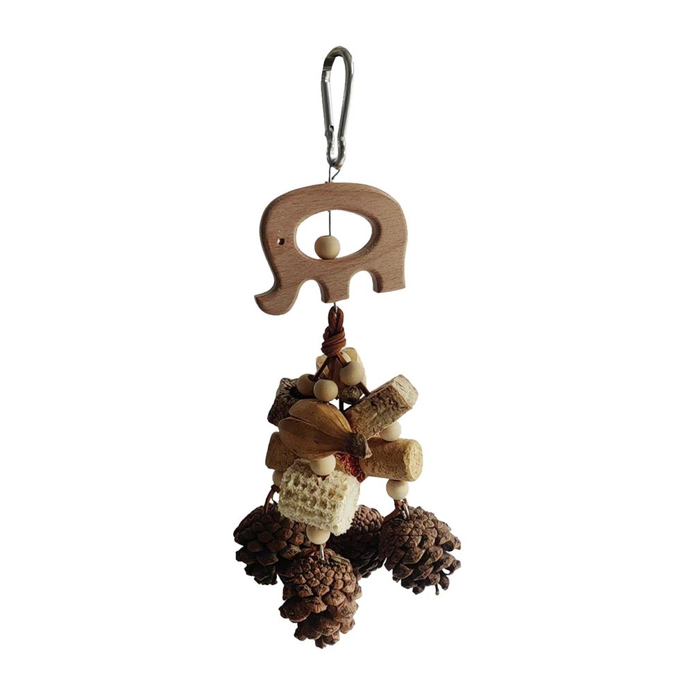 Poupangke Hanging Pine Cone Bird Chew Toy for Small and Medium Birds