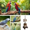 Poupangke Hanging Pine Cone Bird Chew Toy for Small and Medium Birds view 4