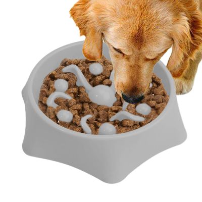 Slow-Feeder Dog Bowl | Bloat Maze