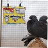 HANABASS Cotton Bird Hammock for Parrots view 3