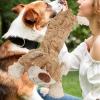 Unbreakable Bear Dog Toy view 2