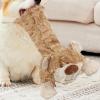 Unbreakable Bear Dog Toy view 3