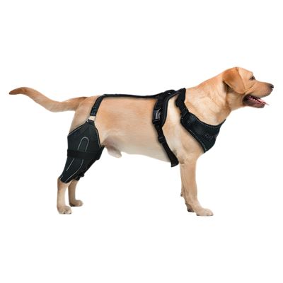 Dog Hind Leg Support Brace with Metal Stabilizers and Wrap Strap