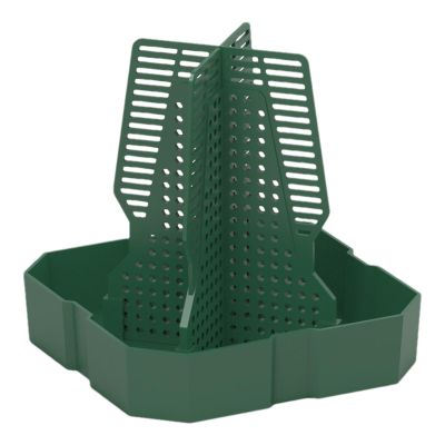 Chameleon Feeder Bowl - Reptile Food and Water Dish