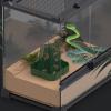 Chameleon Feeder Bowl - Reptile Food and Water Dish view 3