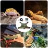 Bearded Dragon Harness - Soft Leather Harness for Small Reptiles view 4