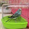 Joselin Parrot Hanging Bath view 2