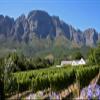 6 x 0.75 L - 2024 - Porcupine Ridge - Syrah view 2