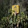 6 x 0.75 L - 2024 - Porcupine Ridge - Syrah view 4