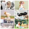 CAPASTEC Pet Training Clicker - Orange view 4