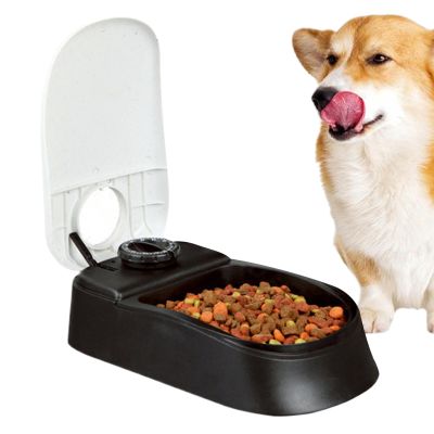 Automatic Cat Feeder