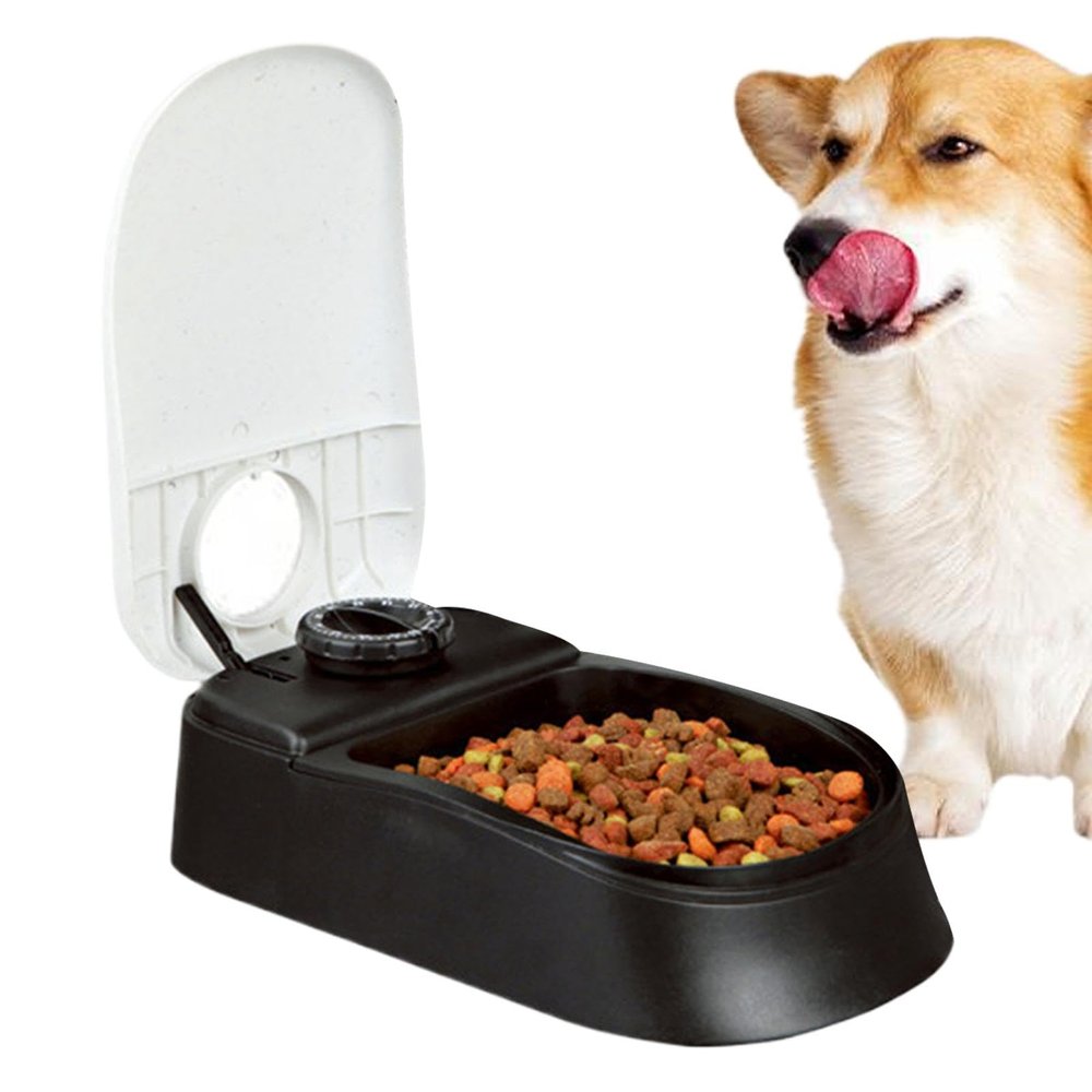 Automatic Cat Feeder