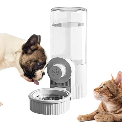 Automatic Cat Food Dispenser