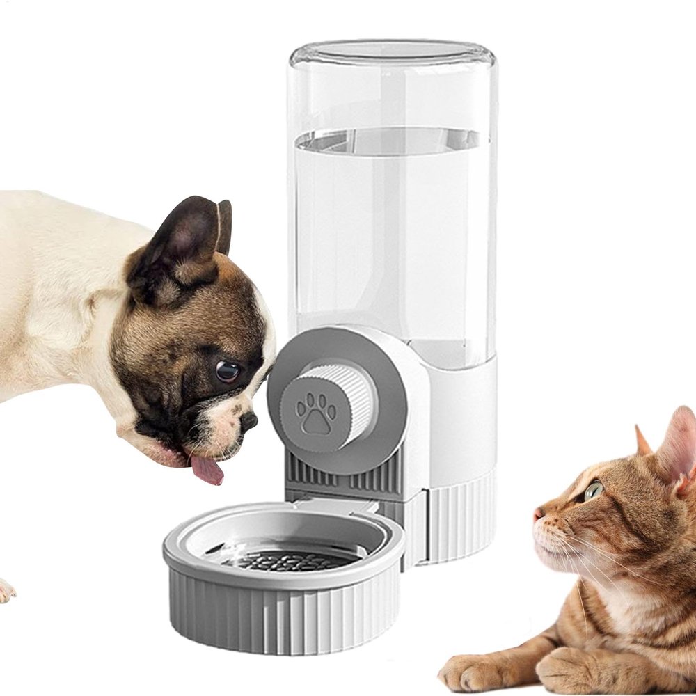 Automatic Cat Food Dispenser