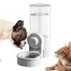 Automatic Cat Food Dispenser view 1