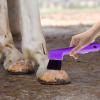 2-in-1 Hoof Pick for Kids view 2